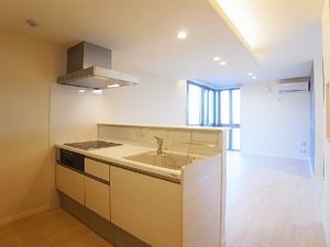 レフィアント 301号-2