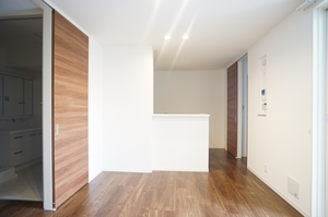 Ｈａｎｏ　ｈａｎｏ 102号-2