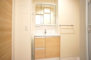 グレースキャニオン 302号-9