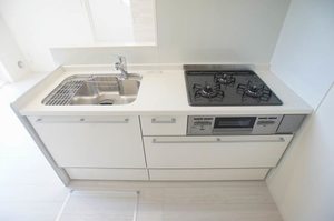 フォンテヴェール 101号-3