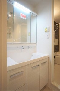 La Gran Luce 205号-8