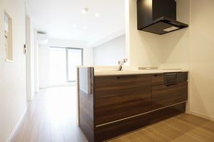 ドゥマール リンネル 203号-2