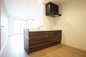 ドゥマール リンネル 301号-2