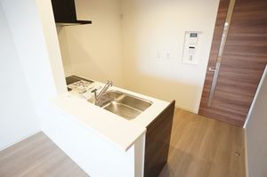 ドゥマール リンネル 301号-3