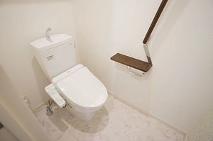 Ｐｉｎｅ　Ｌｉｍｂ　Ｂ 201号-9