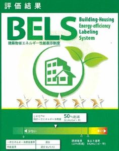 モデルノ　Ｎ 205号-11