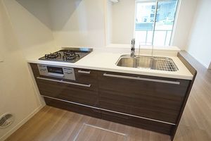 ドルフ白糸台 102号-4