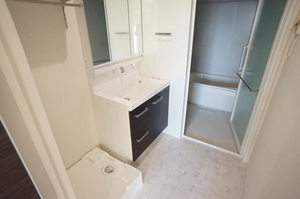 デメテル武蔵境 301号-5