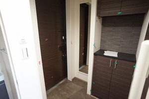 デメテル武蔵境 301号-11