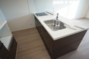 デメテル武蔵境 302号-4