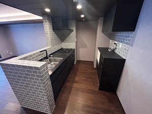 ウィズプラス三鷹 303号-6