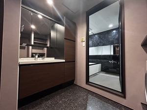 ウィズプラス三鷹 303号-9