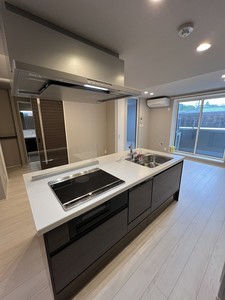 ピーノ 203号-5