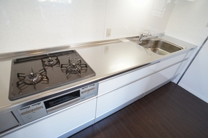 グランドメゾン南麻布 803号-10