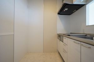 ＰＥＡＲＬ　ＳＨＩＭＯＲＥＮＪＡＫＵ 306号-3