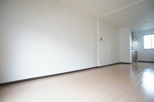 ヴィルドリーム 202号-5