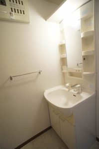 ヴィルドリーム 202号-10