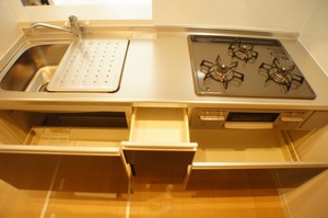 コクーンテラス井の頭１号棟 102号-5