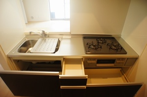 コクーンテラス井の頭１号棟 202号-9