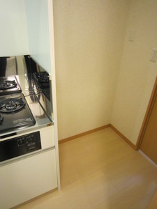 アンプルールフェール立川 203号-10