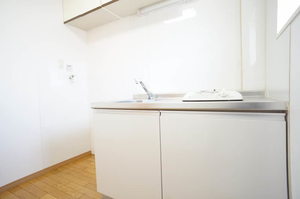 第3ハピネス 305号-9