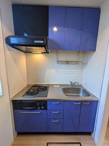 サンヒルズ光が丘 109号-11