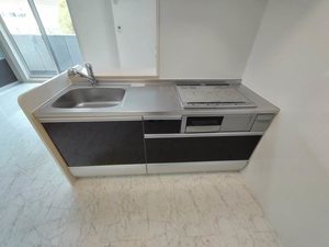 パークフォンターナ 308号-9