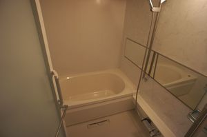 カメリア 203号-9