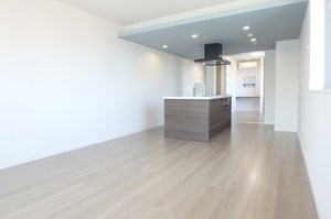 Ｃｉｅｌ　Ｍａｉｓｏｎ　Ｋｏｋｕｂｕｎｊｉ 306号-2