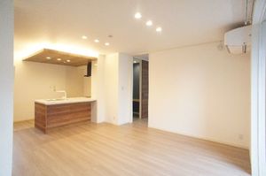 アンビエラ国立 102号-3