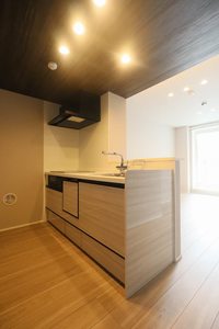 エー　レジデンス 302号-6