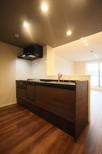 セントリビエ南平 303号-6