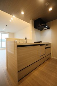 セントリビエ南平 306号-6