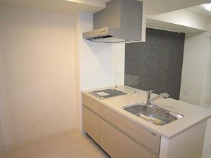 マストライフ南４条 203号-9