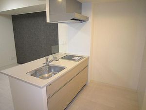 マストライフ南4条 204号-7