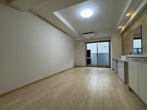 マストライフ南品川 303号-2