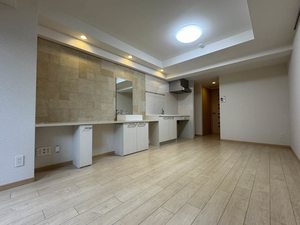 マストライフ南品川 303号-3