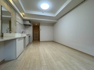 マストライフ南品川 303号-8