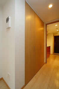 マストライフ南品川 307号-9