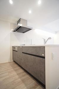 シャーメゾンステージ神楽坂 104号-3