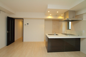 マストライフ南品川 419号-6