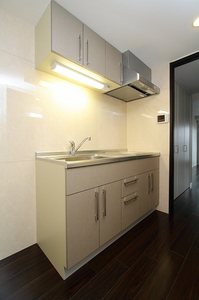 マストライフ南品川 525号-3