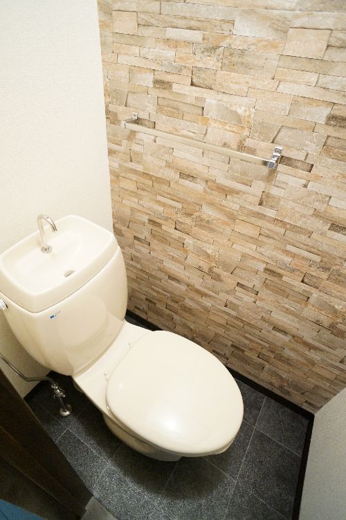 アネックスゴールドＡ 203号-11