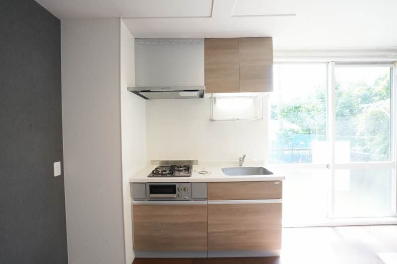 ドミ－ル井口 101号-3