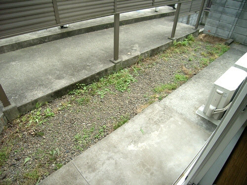 第二芙蓉ハイツ 101号-7