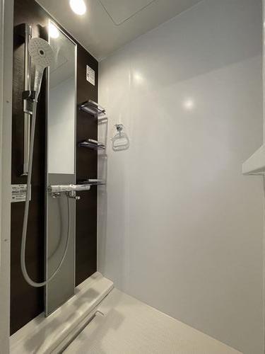 エクセリオン・Ｕ 205号-8