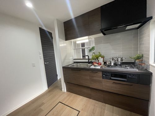 Ｃａｌａｍｕｓ　Ｔｅｒｒａｃｅ　Ａ 101号-4