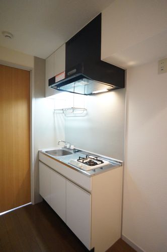 ドミール２００１ 102号-5