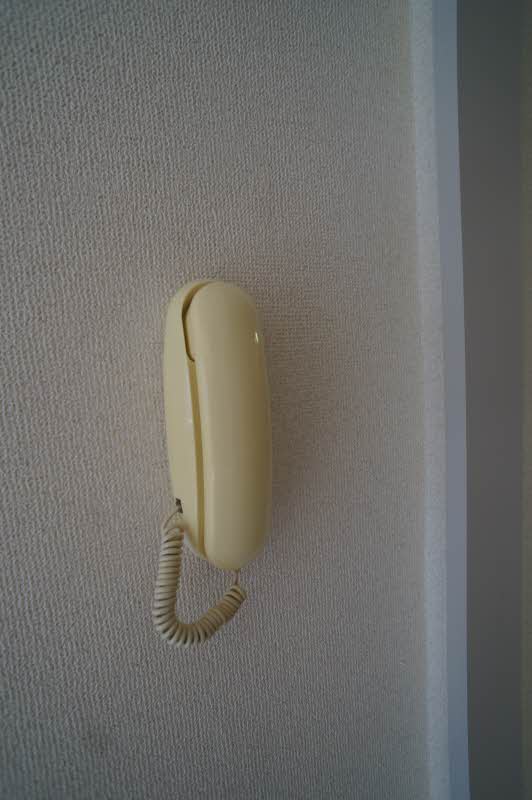 Ｍａｉｓｏｎ　Ｎｏｂｌｅ 205号-9