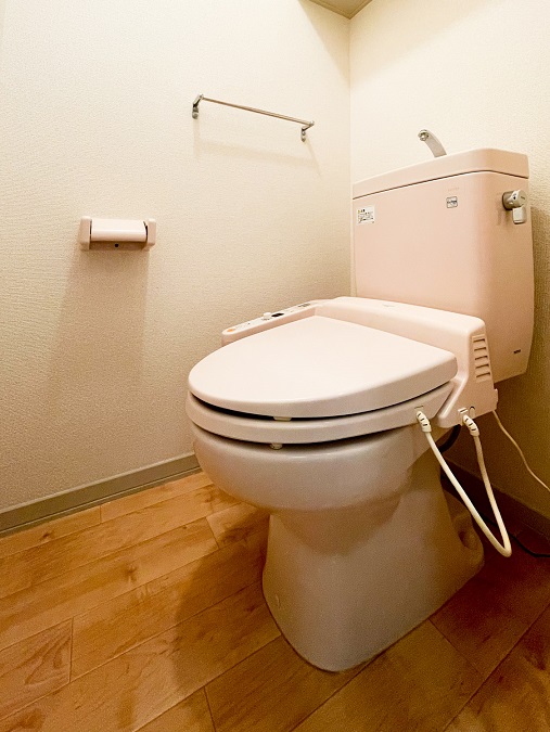 ヴァンティアン市川 201号-9